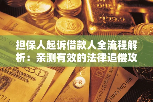 武汉担保人起诉借款人全流程解析：亲测有效的法律追偿攻略