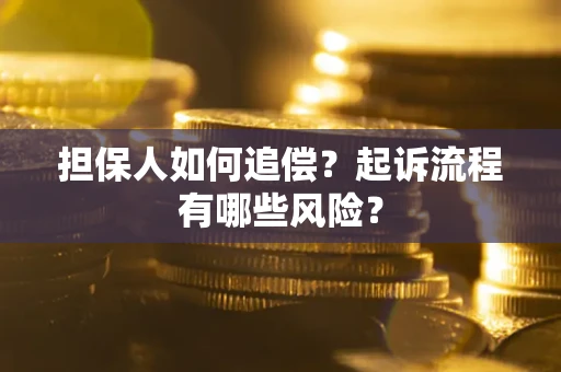 武汉担保人如何追偿？起诉流程有哪些风险？