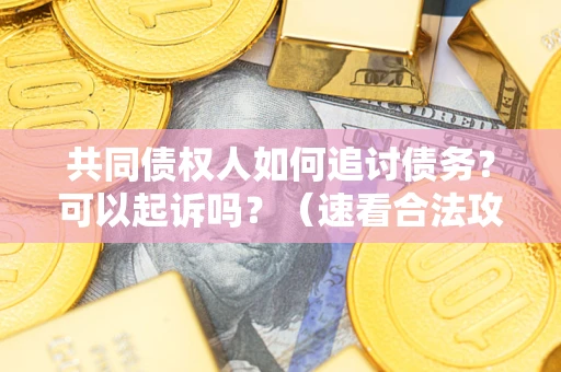 武汉共同债权人如何追讨债务？可以起诉吗？（速看合法攻略）