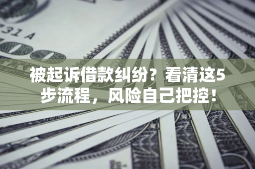 武汉被起诉借款纠纷？看清这5步流程，风险自己把控！