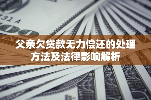 武汉父亲欠贷款无力偿还的处理方法及法律影响解析